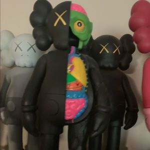 Kaws Companion